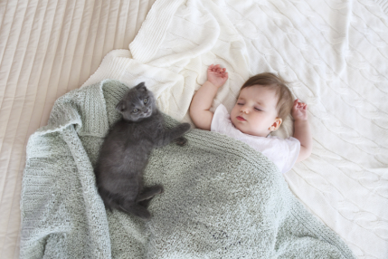 How to introduce your pet to your new baby